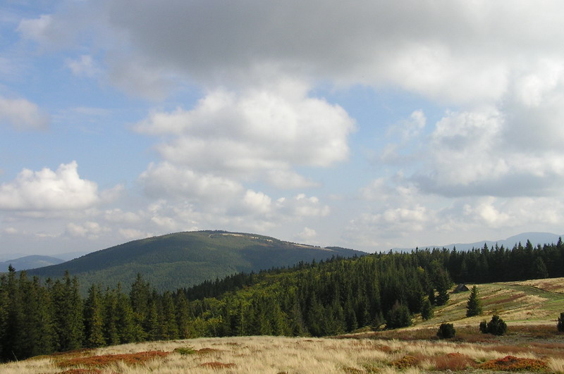 Widok z Lachów Gronia na Jałowiec ( fot. GNJ FDL/Wikipedia)