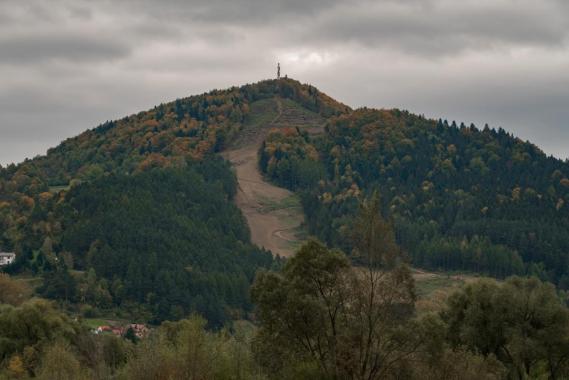 Na górze Kicarz w Piwnicznej powstanie obiecany stok. Czy narciarze mogą już zacierać ręce?