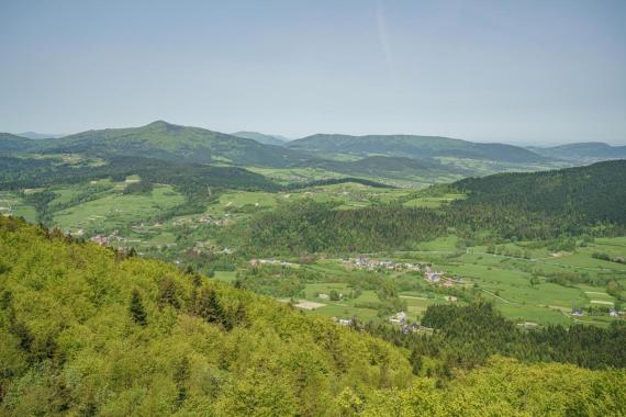 Ruszyły konsultacje społeczne ws. budowy futurystycznego schroniska w Beskidzie Wyspowym