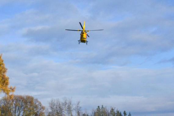 Groźny wypadek w Starym Wiśniczu koło Bochni. Koń stratował 12-latkę